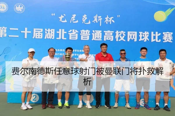 费尔南德斯任意球射门被曼联门将扑救解析